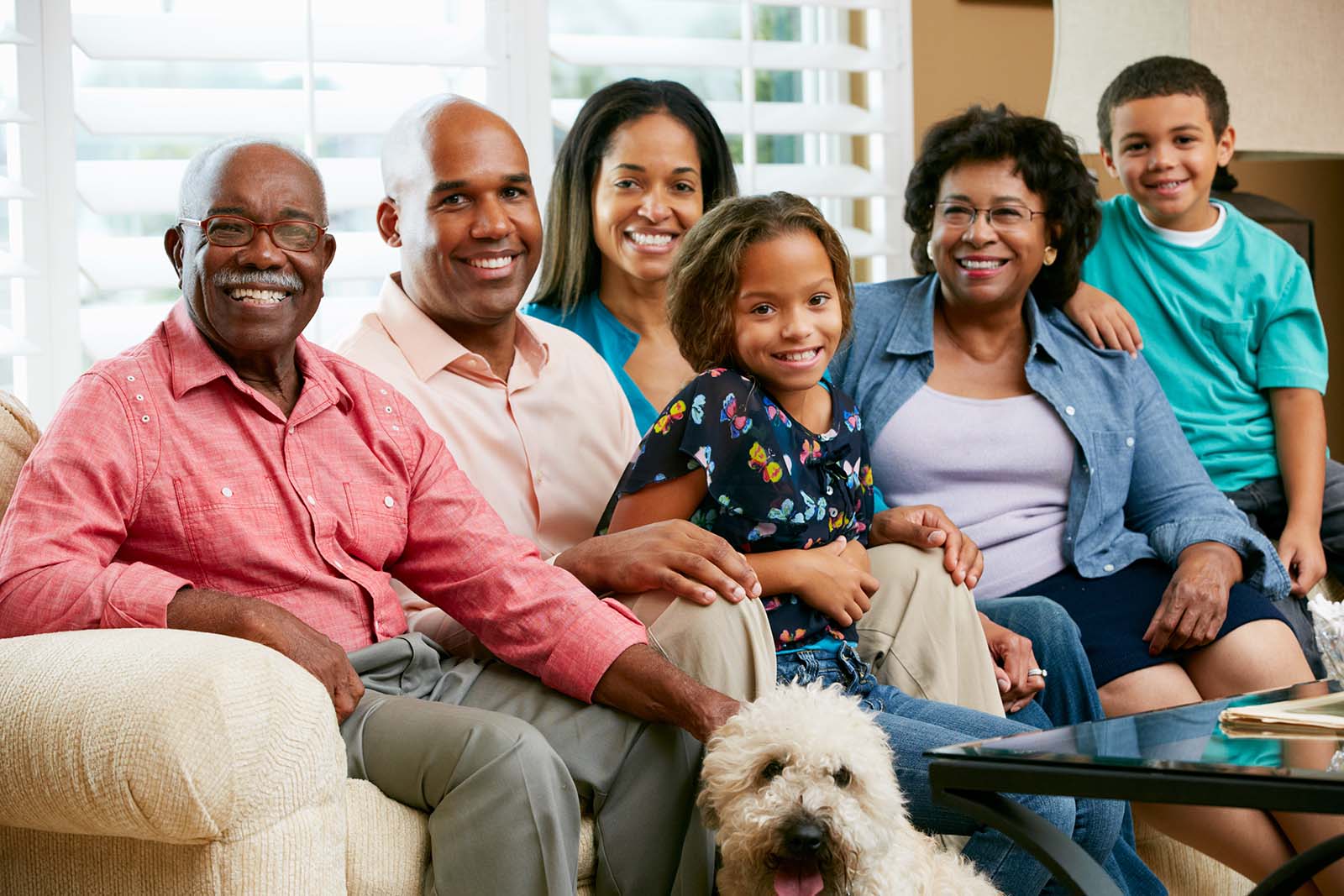 Portrait Of Multi Generation Family